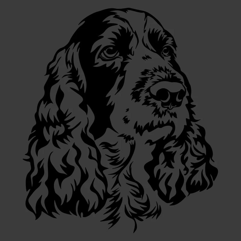 Englischer Springer Spaniel Kopf