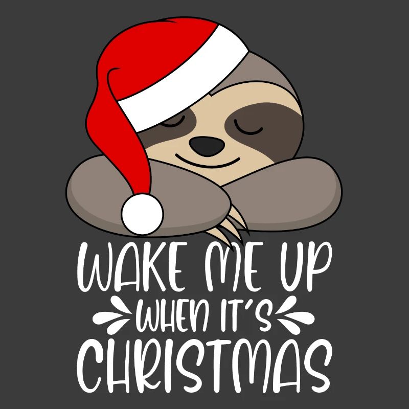 Wake me up when it's Christmas sloth