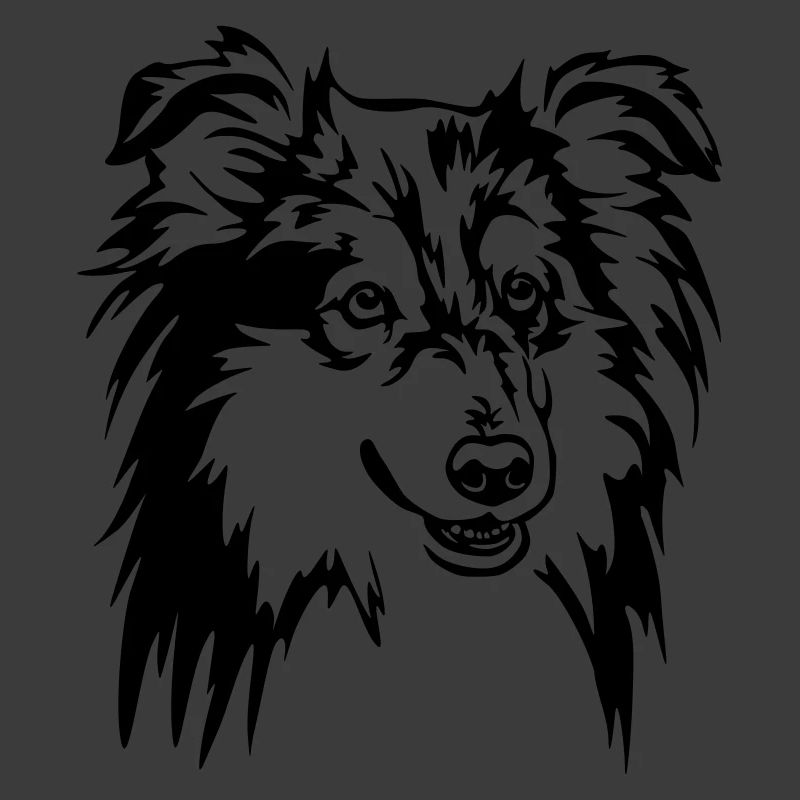 Tête de Sheltie