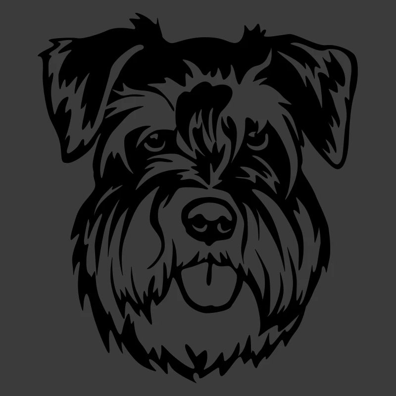 Miniature Schnauzer Head