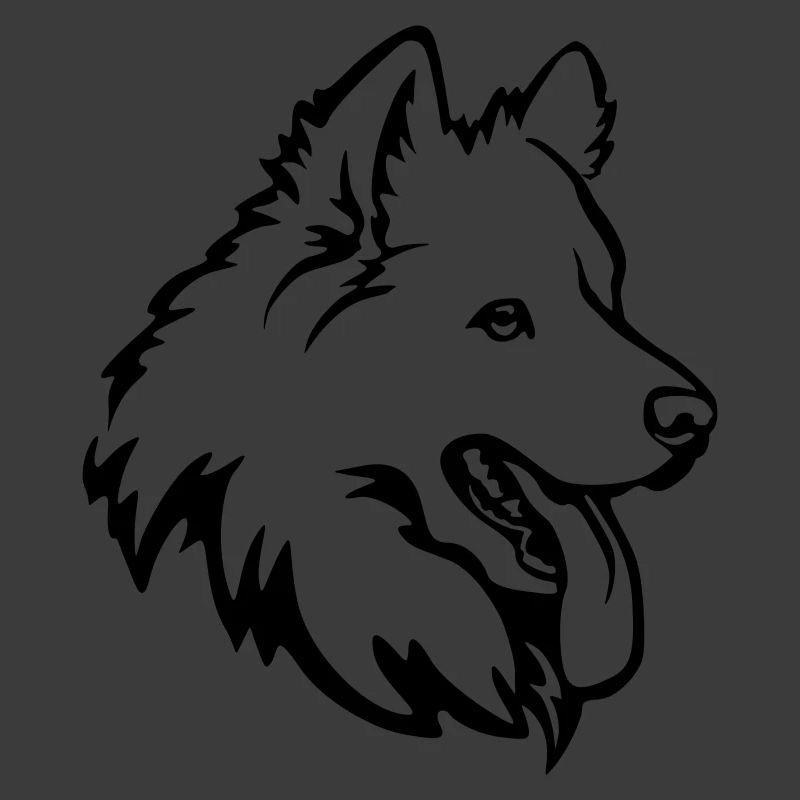 Samoyed head
