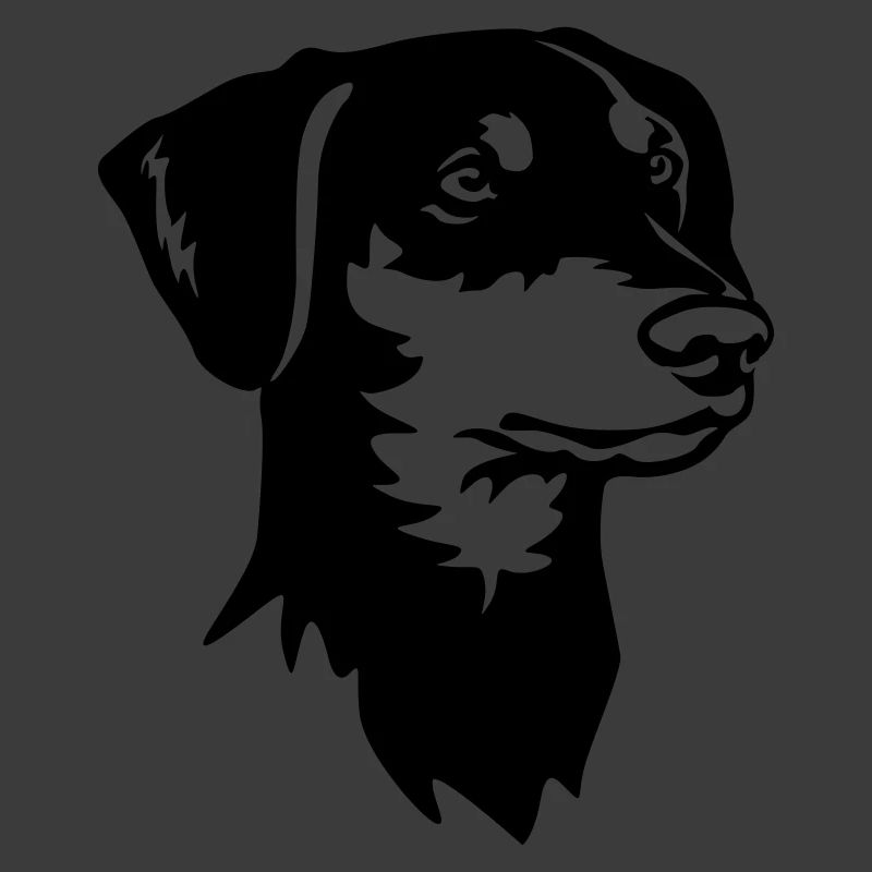 German Pinscher Head