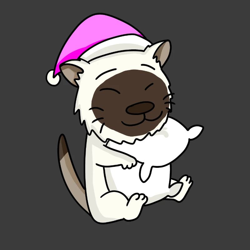 Chat race de chat Birmanie