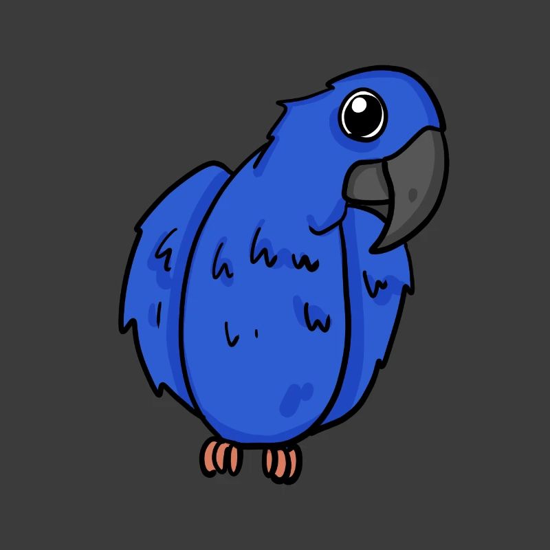 Hyacinth Macaw Parrot Bird