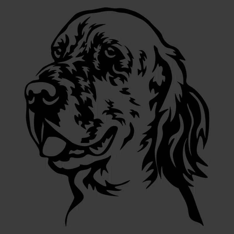 Englischer Setter Kopf