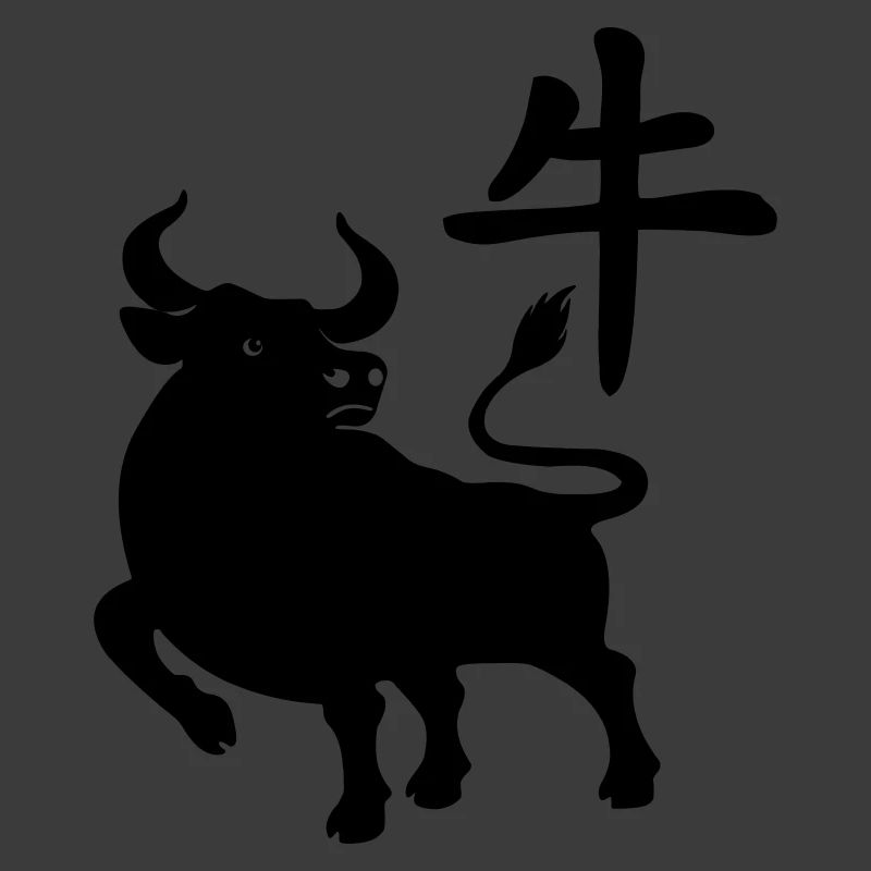 Caractère chinois OS avec image du système d’exploitation, ombre