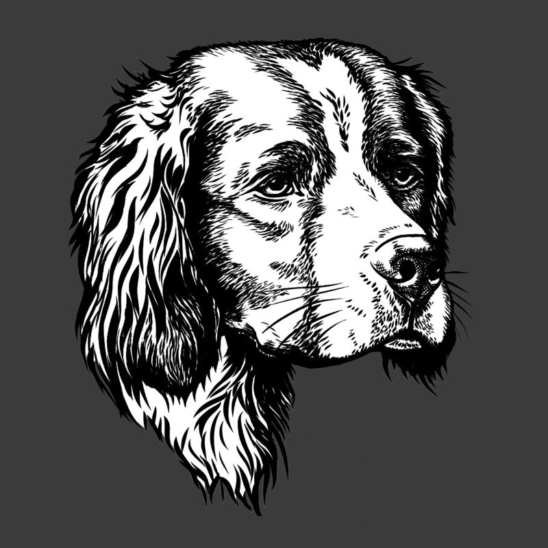 IRW Setter Portrait