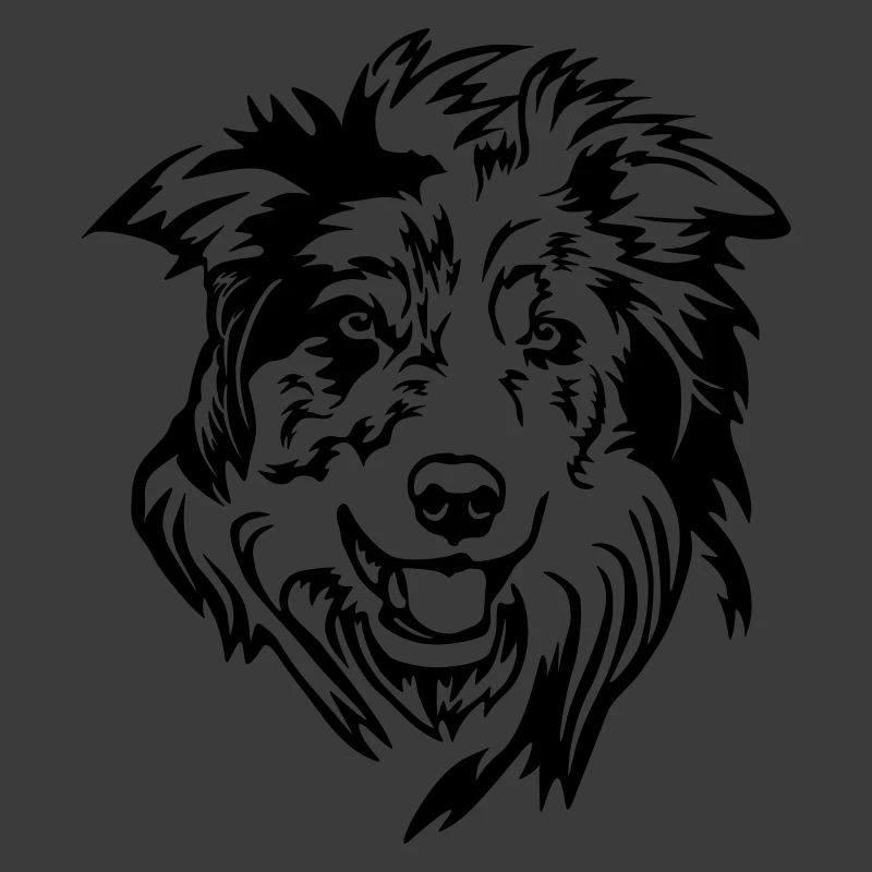 Border Collie Kopf