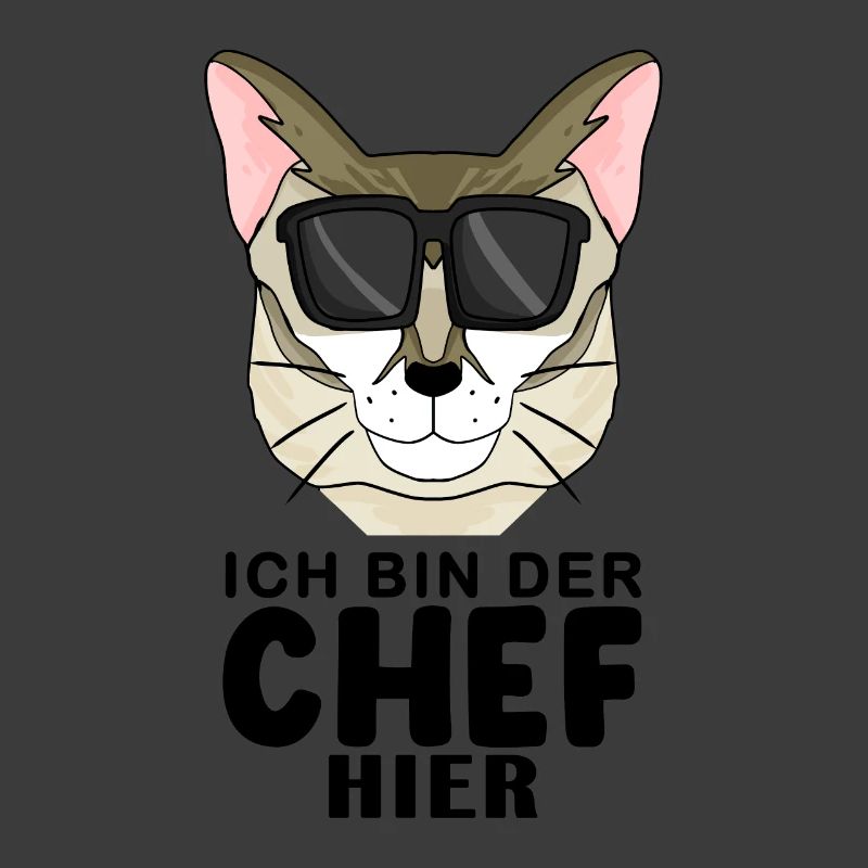 coole Katze - Singapura Katze - Chef Spruch