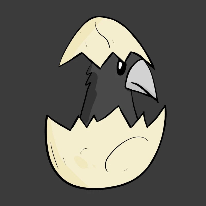 Bébé corbeau