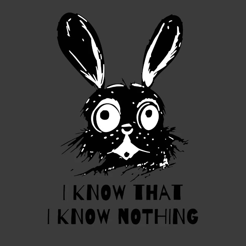 I know that I don't know anything - Wise Rabbit