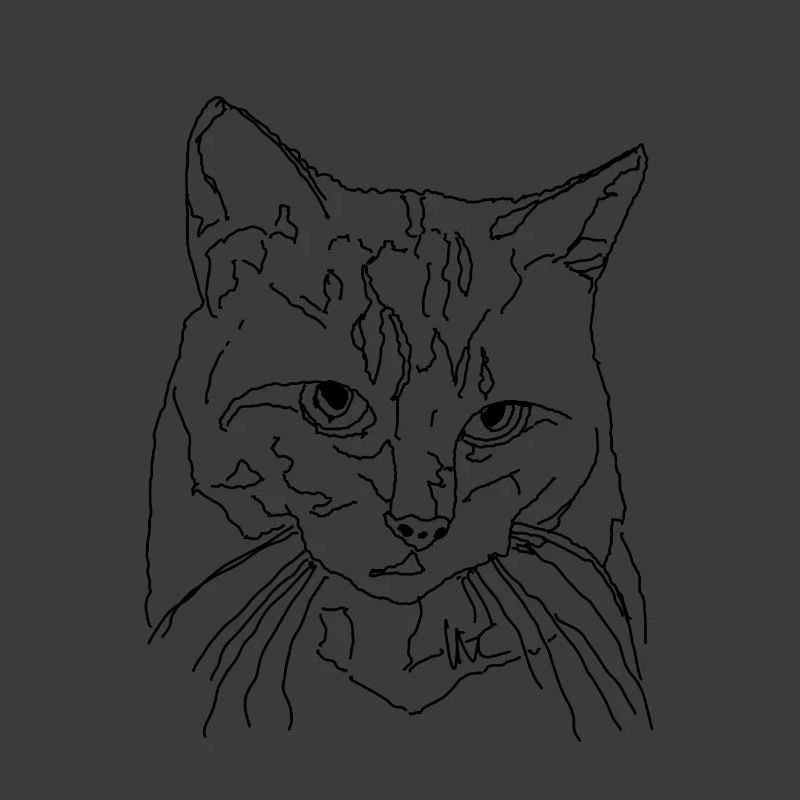 Katze