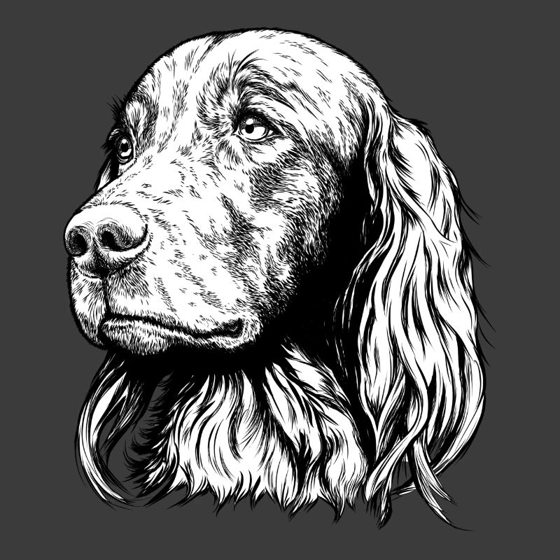 Irish Setter Portrait