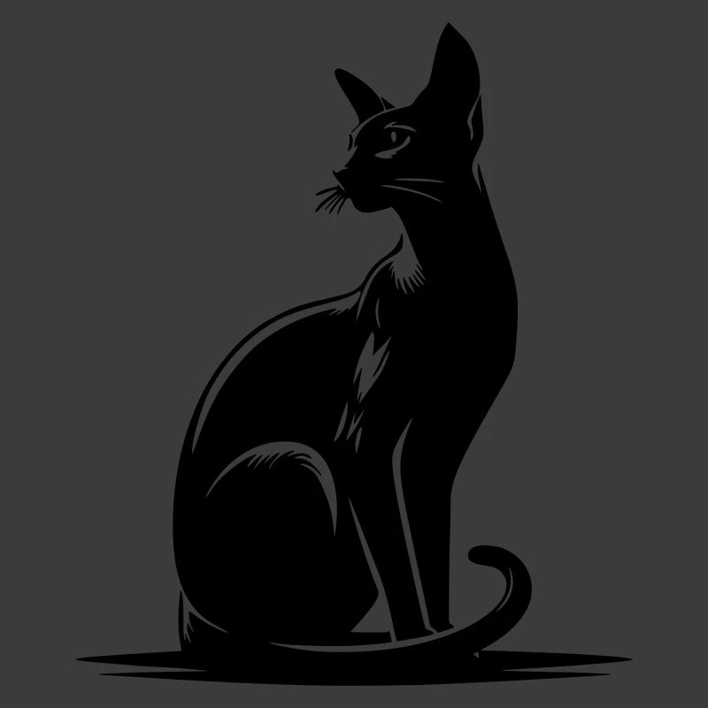 Orientalisch Kurzhaar Katze