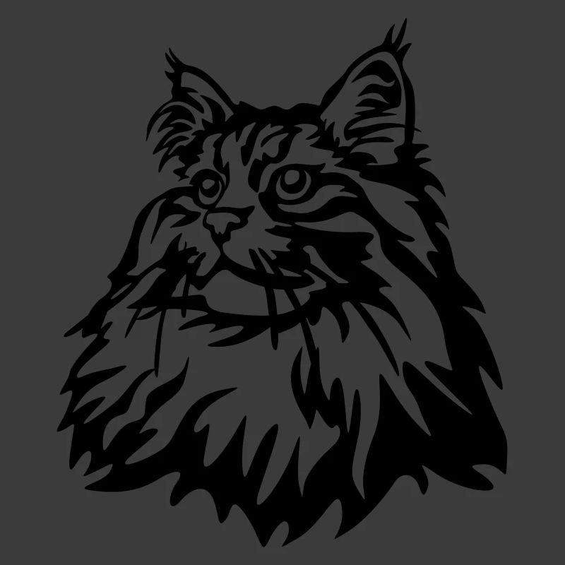 Norwegische Waldkatze