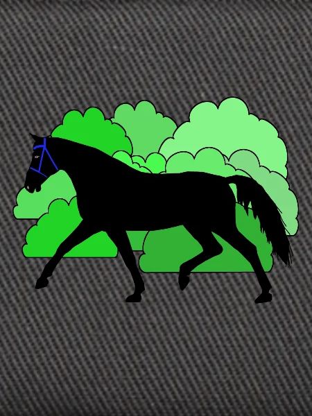 Pferd Pferde Rappe