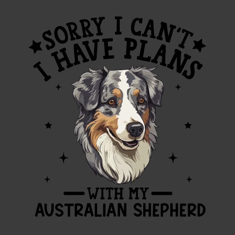 Australischer Schäferhund, Abbildung