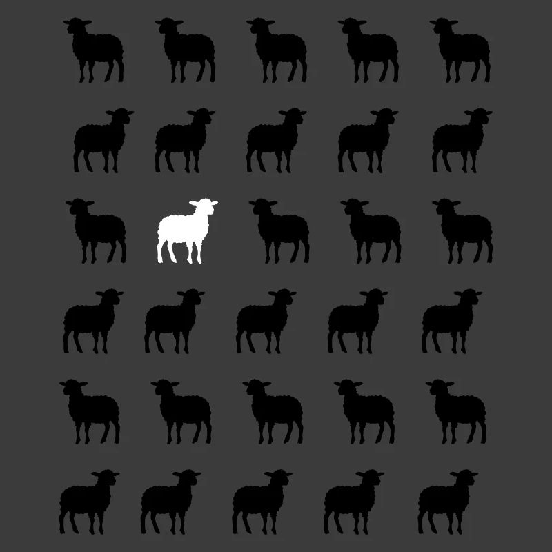 Schwarz-Weißes Schaf