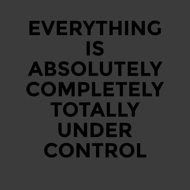 Everything Under Control – Witziger Humor Spruch