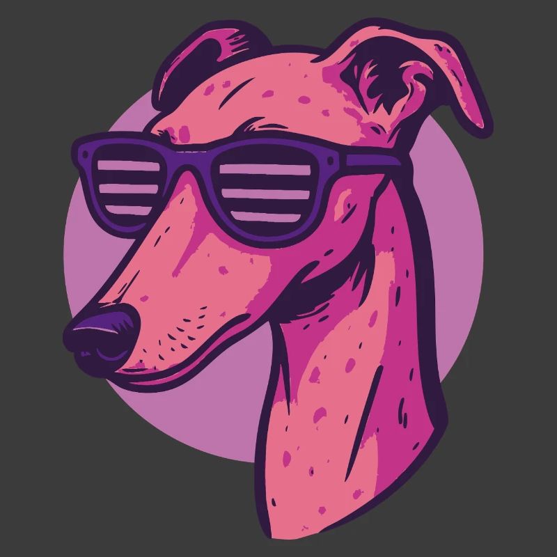Windhund, Galgo