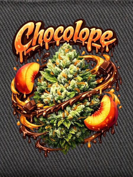 Chocolope Peach Graffiti-Kunstdruck