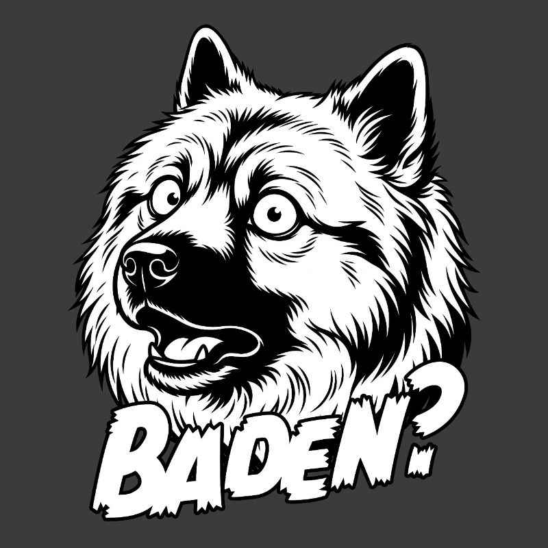 Eurasier | Swimming ? | Background White
