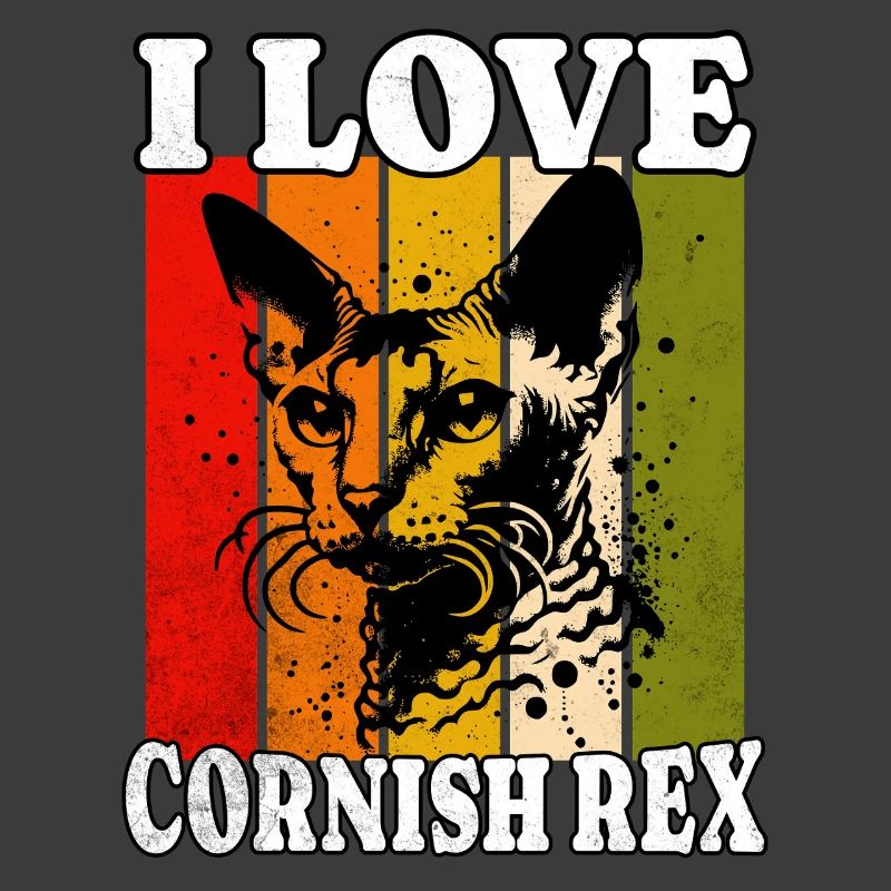 J’adore le Cornish Rex