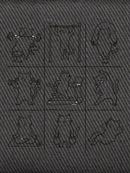 Katzen Gym-Motive: 9 Panels