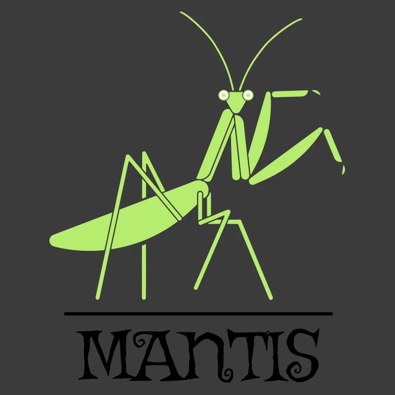Gottesanbeterin – Mantis Insekt Natur