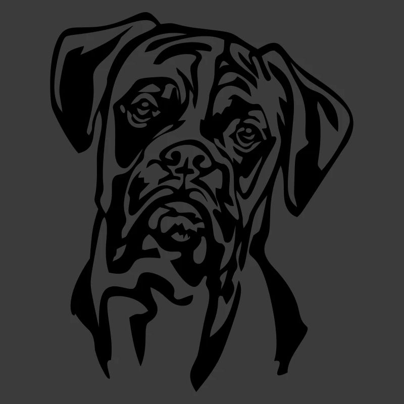 Boxer head