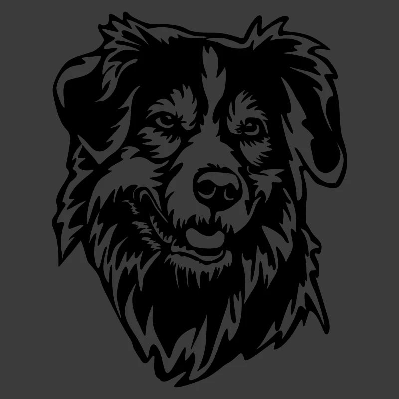 Australian Shepherd Head