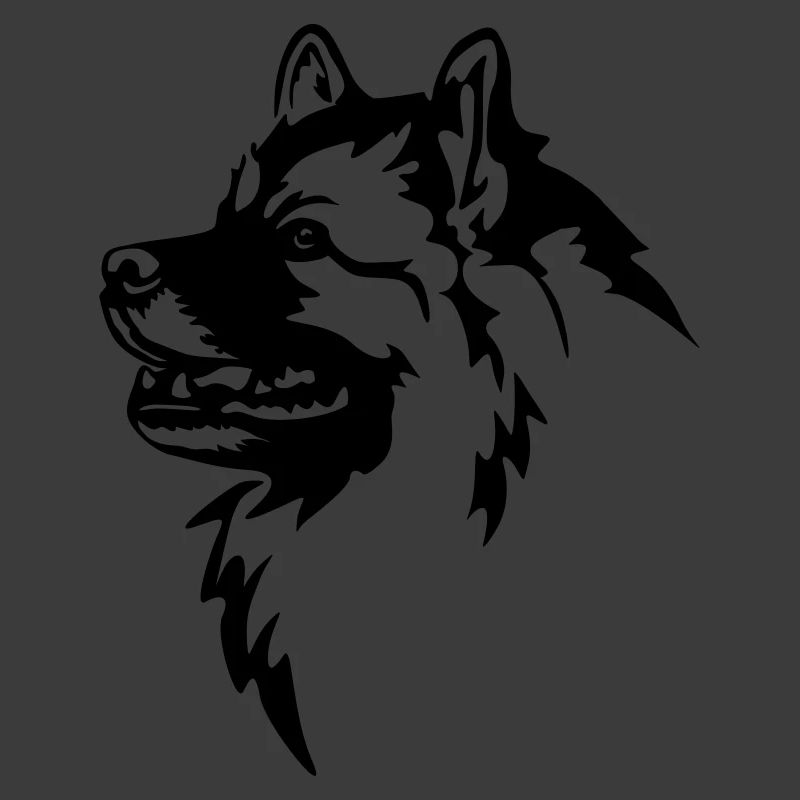 Tête de Wolfsspitz