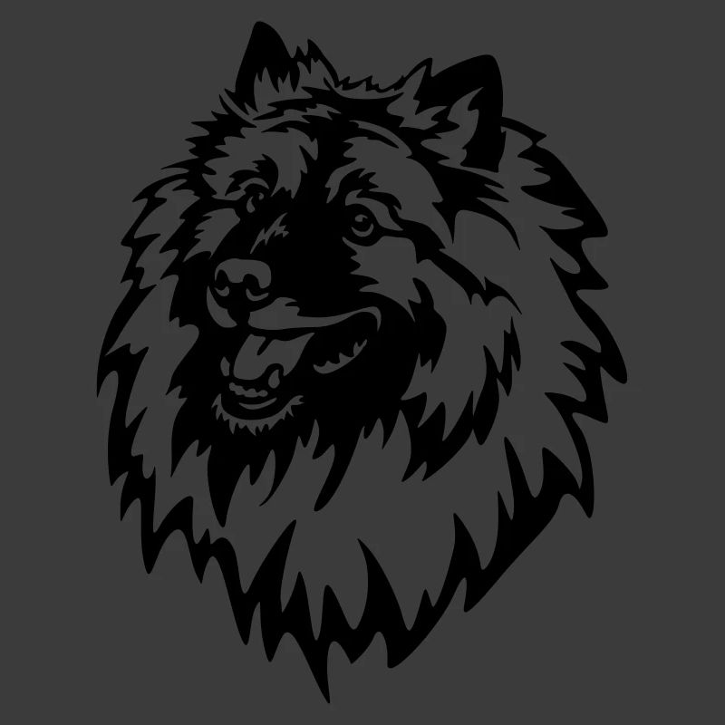 Wolfsspitz Head