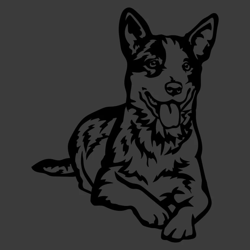 Australian Cattle Dog