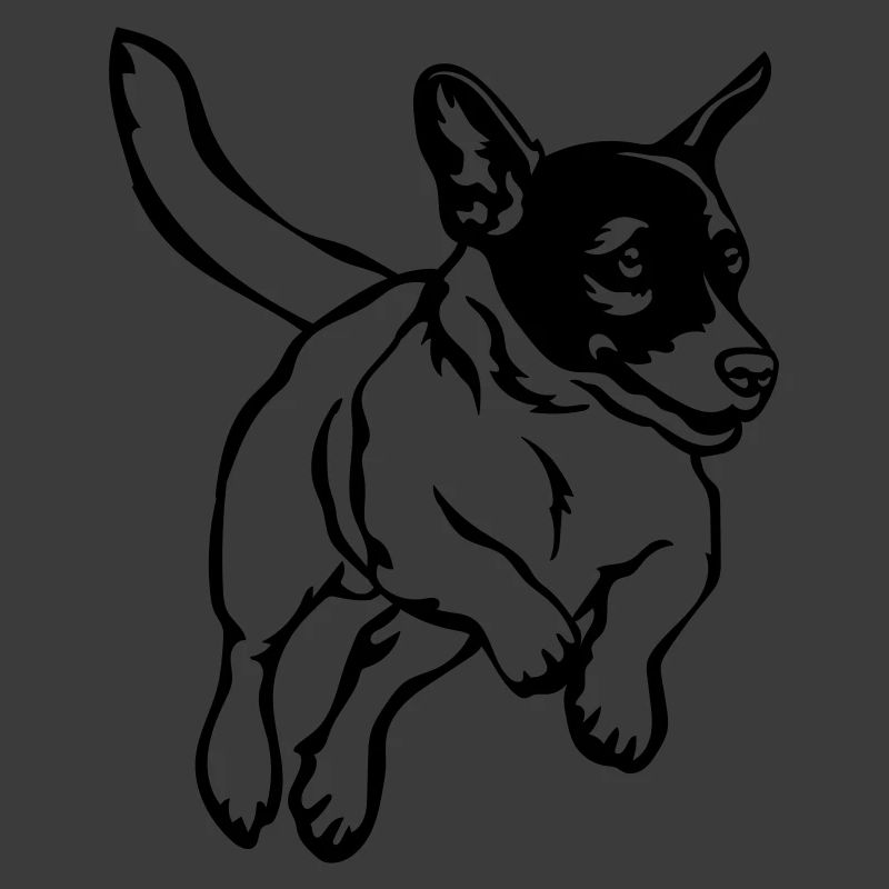 Jack Russell Terrier