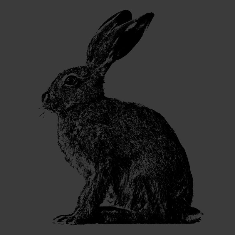 Rabbit / brown hare / Easter bunny ?