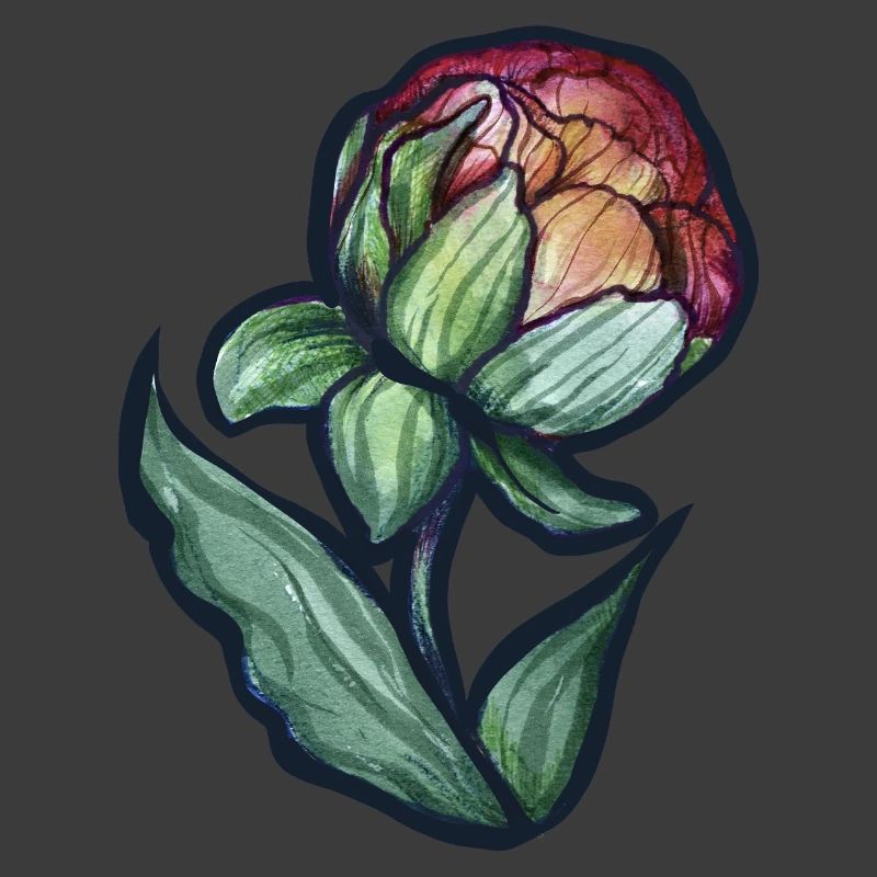 Aquarell Pfingstrosenblüte