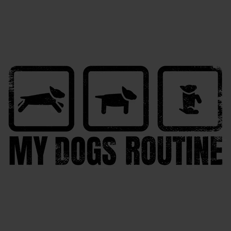 Routine canine