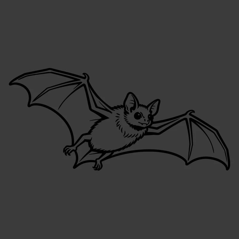 Fledermaus