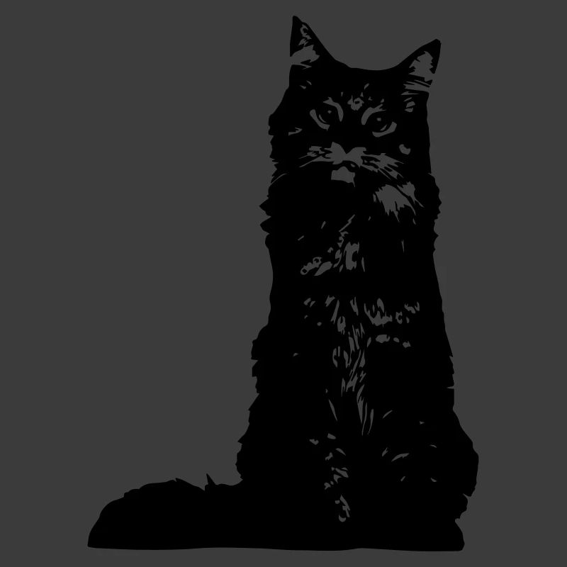 chat