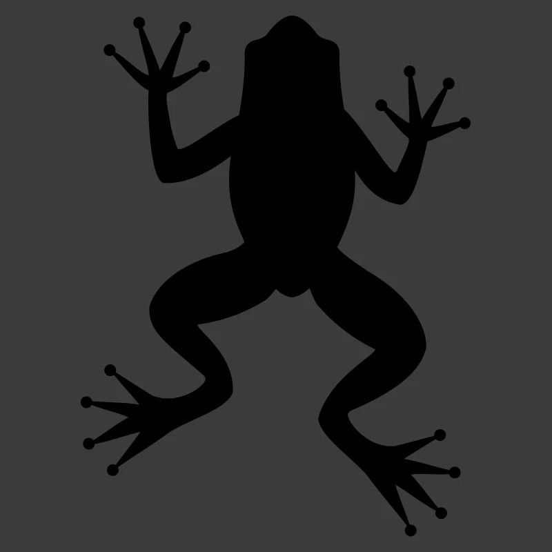 Grenouille crapaud