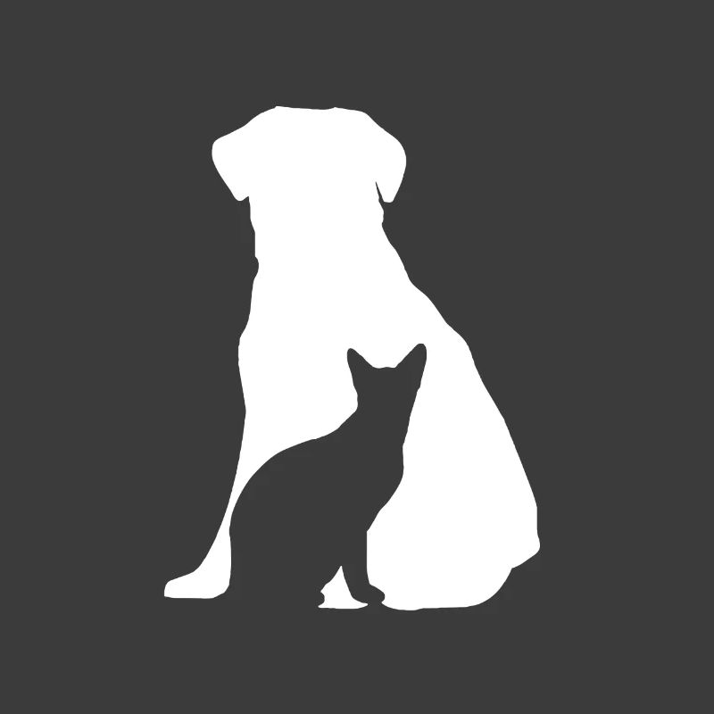 Hund und Katze