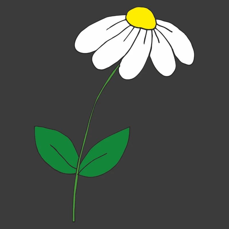 süsses Gänseblümchen