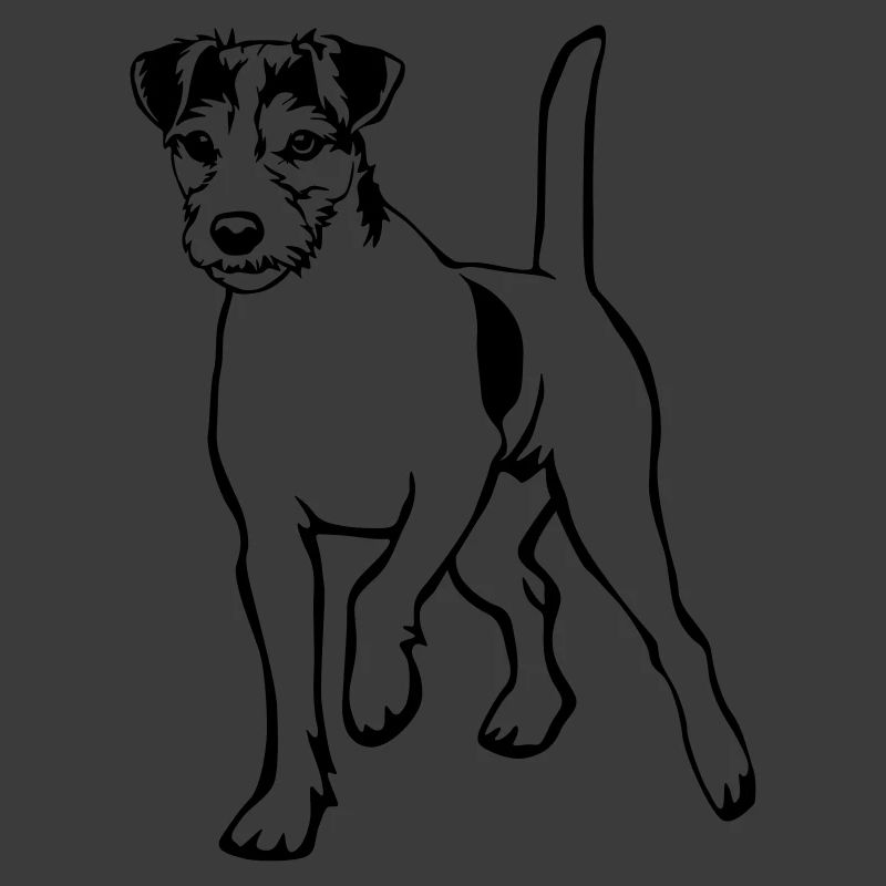 Parson Russell Terrier
