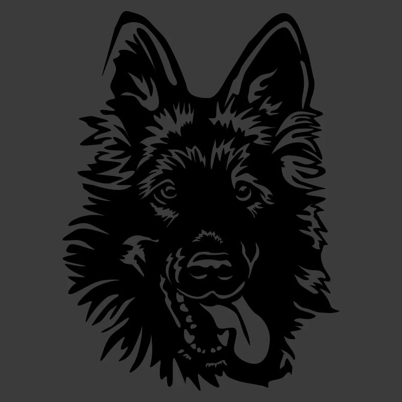 Deutscher Schäferhund Kopf