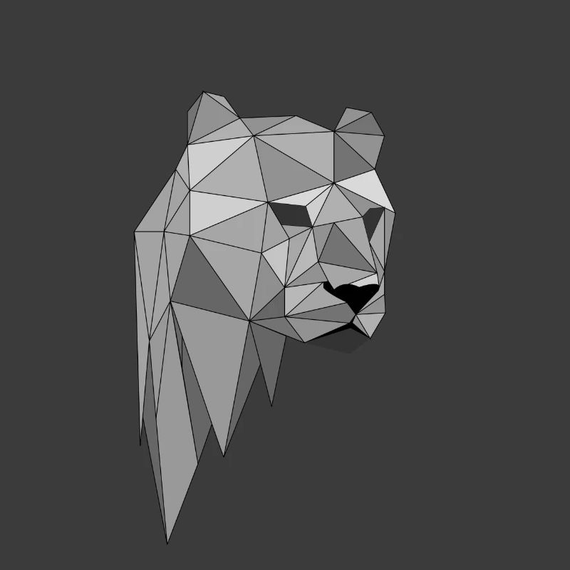 Panther Leopard Gift Gift Idea