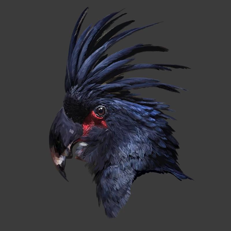 Parrot