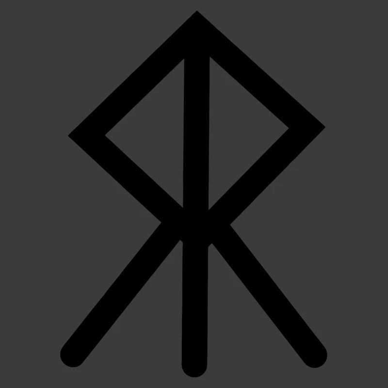 Moed Wikinger-Rune COURAGE