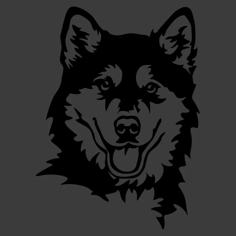 Alaskan Malamute Kopf