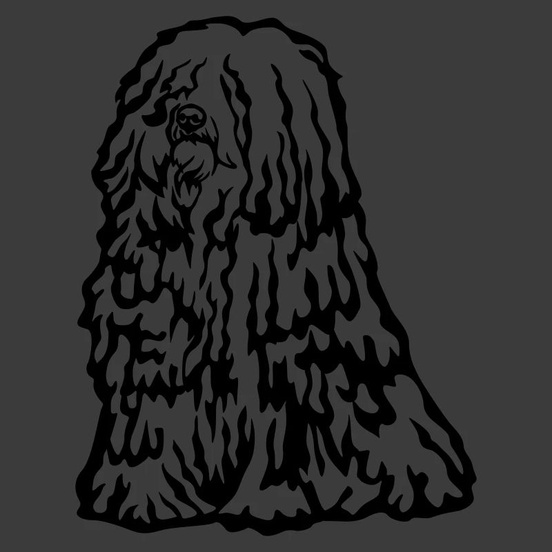 Puli